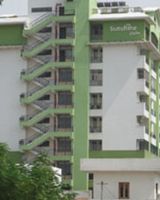 Dhanuka Sunshine Palm