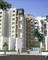 Jagtap 10 Elite