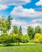 Prasiddhi Park Dale
