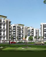 Suraj Royal Astonia