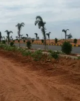 Avigna Fortune County