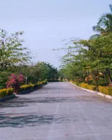 Lasya Magnolia Garden phase II