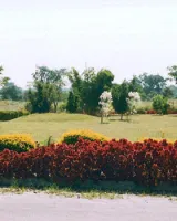 Lasya Magnolia Garden Phase I