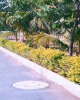 Lasya Vikas Nagar