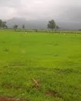Indo Mount Valley