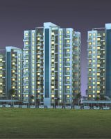 Rohan Silver Palm Grove