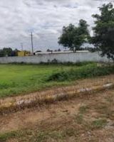 Vishnu Green Fields