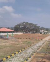 Sitrus Valley