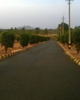 Sitrus Sai Meadows