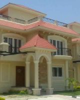 Suchirindia Timber Leaf
