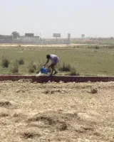 RK Vatika City 30