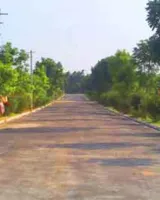 CMRS Verdance