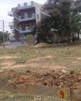 Manani Woods II