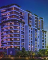 Malabar Grand Cypress
