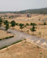LG Tranquil Woods