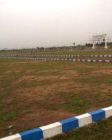 i5 Green Garden