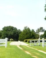 Hiland Blossom