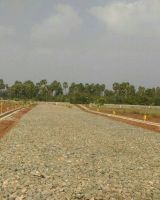 Bhashyam Pioneer County