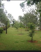Rashi Splendour II
