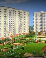 DN Vipul Garden
