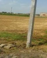 Big Bull Shyam City