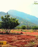 Sizzle Nandi Valley
