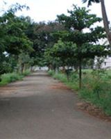 Terracon Gardens
