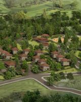 Synergy Casuarina
