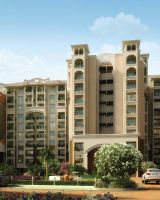 Purva Amaiti