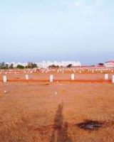 Abhinandana Sai Brundavan Gold