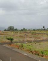 JR Greenwoods Plots