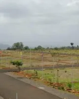 JR Valley Plot