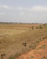 SRB Sri Jagannath Vihar III