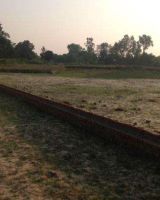 Vasundhara Carnation Valley