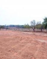 Apollo Kanak Nagar