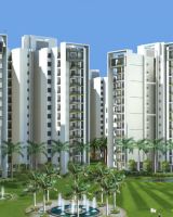 Motia Royal Citi Apartments