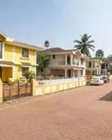 Nanu Sapana Orchid