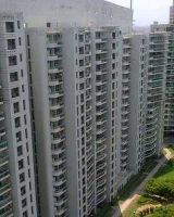 DLF ICON
