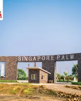 Singapore Palm