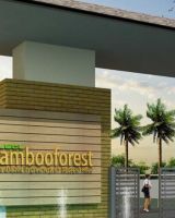 Lgcl Bamboo Forest