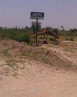 Rajdhani Highway Greens
