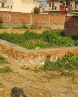 Royal Green City