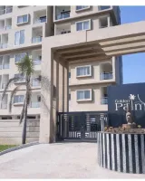 Gmr Golden Palm