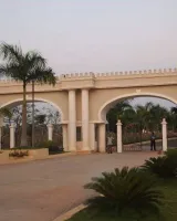 Gold Fields