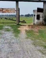 Samridhi Green