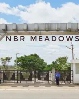 Nbr Meadows