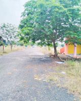 Festival City