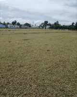Rainbow Garden