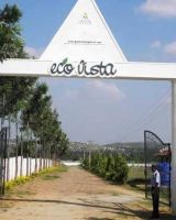 Eco Vista