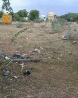 Soundarya Garden